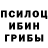 Конопля семена Apathetic Misfit