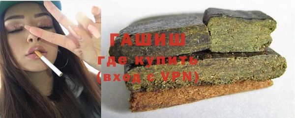 гашик Алексин