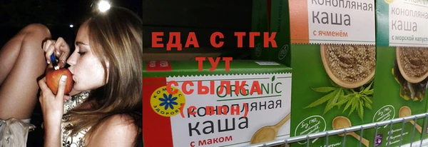 гашик Алексин