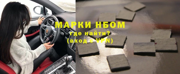 гашик Алексин