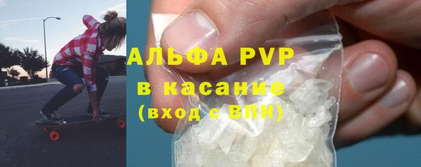 гашик Алексин