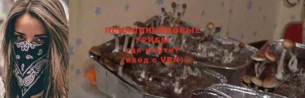 гашик Алексин