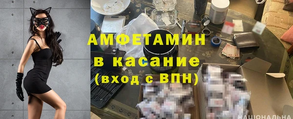 гашик Алексин