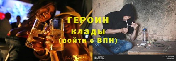 гашик Алексин