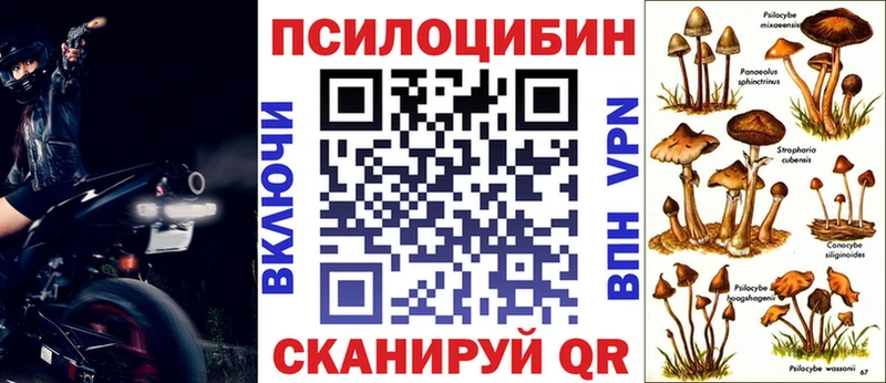 Псилоцибиновые грибы прущие грибы Карачев
